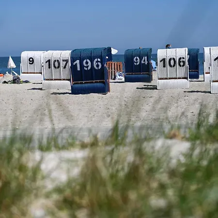 Tiny House Pioneer 3 - Tiny Spot Holiday home *